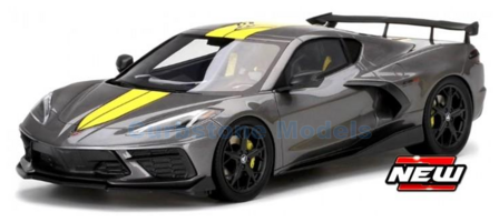Modelauto 1:18 | Top Speed TS0390 | Chevrolet Corvette C8 Stingray IMSA GTLM Champion Edition Grey and Yellow 2021