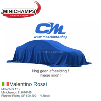 Motorfiets 1:12 | Minichamps 312016166 | Figurine Riding GP 500 2001 - V.Rossi