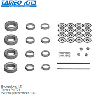 Bouwpakket 1:43 | Tameo PWT01 | Wielen Spokes Wheels 1950
