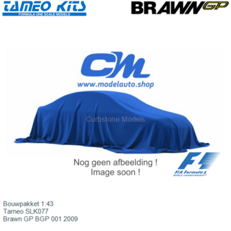 Bouwpakket 1:43 | Tameo SLK077 | Brawn GP BGP 001 2009