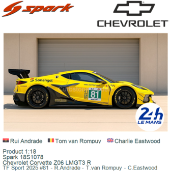 Product 1:18 | Spark 18S1078 | Chevrolet Corvette Z06 LMGT3 R | TF Sport 2025 #81 - R.Andrade - T.van Rompuy - C.Eastwood