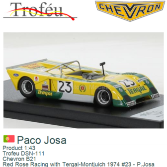 Product 1:43 | Trofeu DSN-111 | Chevron B21 | Red Rose Racing with Tergal-Montjuich 1974 #23 - P.Josa 