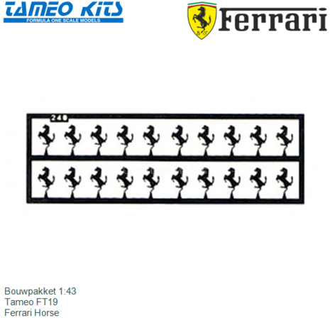 Bouwpakket 1:43 | Tameo FT19 | Ferrari Horse