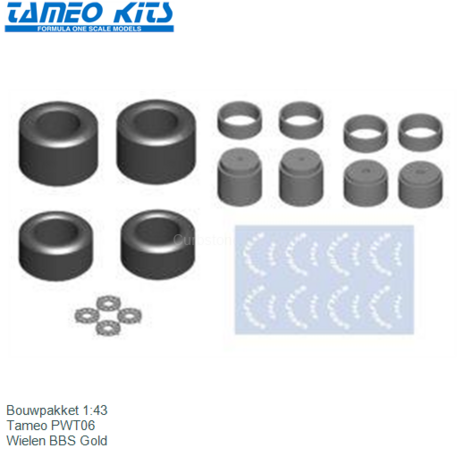 Bouwpakket 1:43 | Tameo PWT06 | Wielen BBS Gold