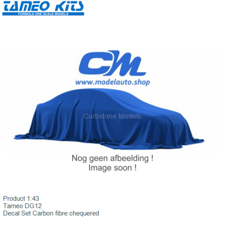 Product 1:43 | Tameo DG12 | Decal Set Carbon fibre chequered