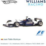 Modelauto 1:43 | Hotwheels 50212 | Williams FW23 BMW 2001 Modelauto 1:43 | Hotwheels 50212 | Williams FW23 BMW 2001