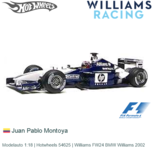 Modelauto 1:18 | Hotwheels 54625 | Williams FW24 BMW Williams 2002 Modelauto 1:18 | Hotwheels 54625 | Williams FW24 BMW Williams 2002