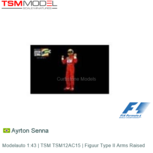 Modelauto 1:43 | TSM TSM12AC15 | Figuur Type II Arms Raised Modelauto 1:43 | TSM TSM12AC15 | Figuur Type II Arms Raised