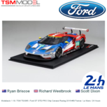 Modelauto 1:18 | TSM TS0065 | Ford GT GTE-PRO Chip Canassi Racing 2016 #69 France / Le Mans / 24 Hours Modelauto 1:18 | TSM TS0065 | Ford GT GTE-PRO Chip Canassi Racing 2016 #69 France / Le Mans / 24 Hours