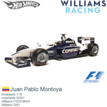 Modelauto 1:18 | Hotwheels 50201 | Williams FW23 BMW | Williams 2001 Modelauto 1:18 | Hotwheels 50201 | Williams FW23 BMW | Williams 2001