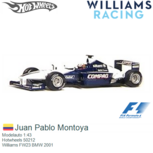 Modelauto 1:43 | Hotwheels 50212 | Williams FW23 BMW 2001 Modelauto 1:43 | Hotwheels 50212 | Williams FW23 BMW 2001
