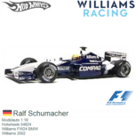 Modelauto 1:18 | Hotwheels 54624 | Williams FW24 BMW | Williams 2002 Modelauto 1:18 | Hotwheels 54624 | Williams FW24 BMW | Williams 2002
