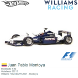 Modelauto 1:43 | Hotwheels 50212 | Williams FW23 BMW 2001 - Montoya Modelauto 1:43 | Hotwheels 50212 | Williams FW23 BMW 2001 - Montoya
