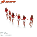 Figuur 1:43 | Spark 43AC024 | Figure 6 Grid Grils 2000 Figuur 1:43 | Spark 43AC024 | Figure 6 Grid Grils 2000